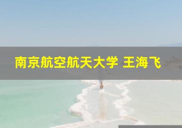 南京航空航天大学 王海飞